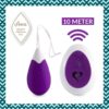 ANNA VIBRATING EGG WITH REMOTE CONTROL DEEP PURPLE