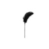 BLACK FEATHER TICKLER