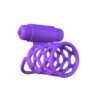 FANTASY C RINGZ VIBRATING COUPLES CAGE PURPLE