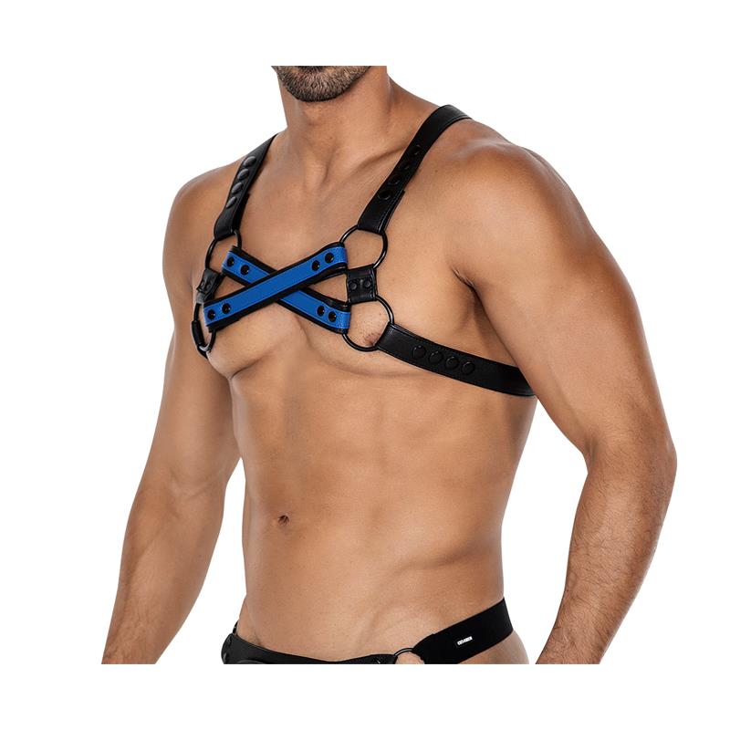 h4rness06-chest-harness-4way-radiant-blue-one-size-2.jpg