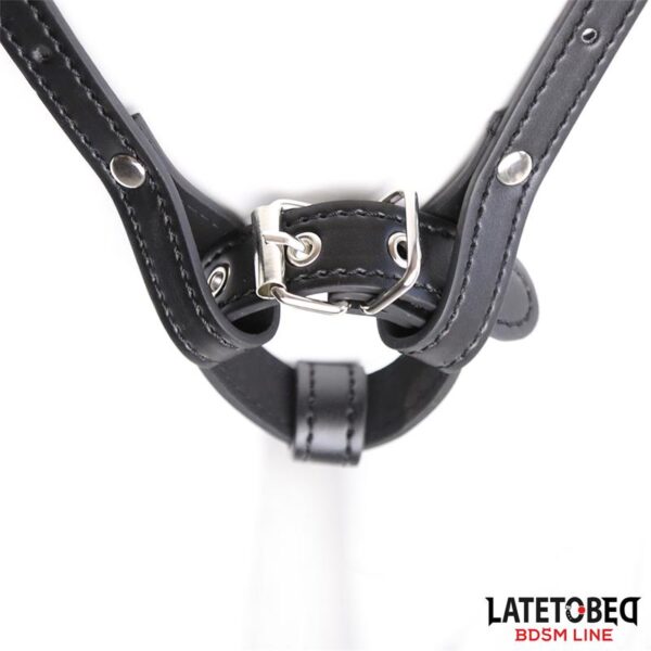 HARNESS BELT ADJUSTABLE - IMAGE 4