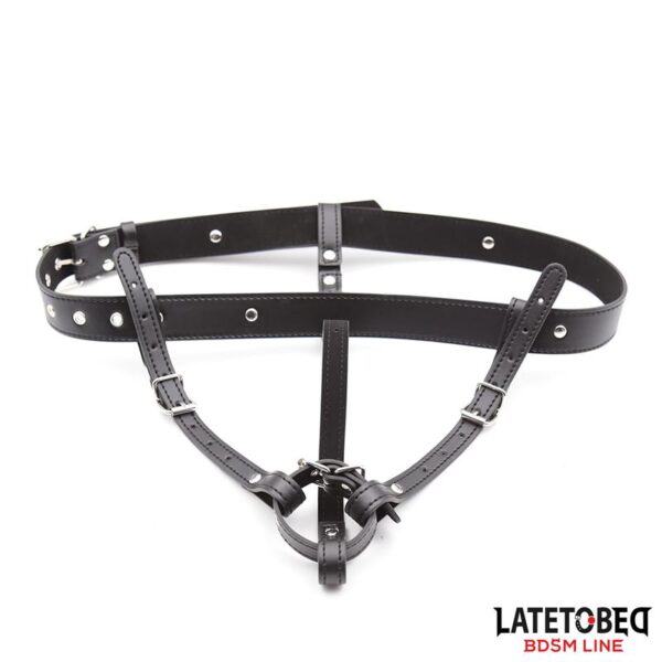 HARNESS BELT ADJUSTABLE - IMAGE 6