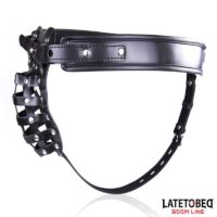 BDSM/Chastity Belts