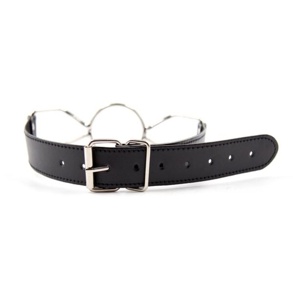METAL O RING BALL GAG SIZE L - IMAGE 4