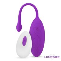 Vibrator Eggs