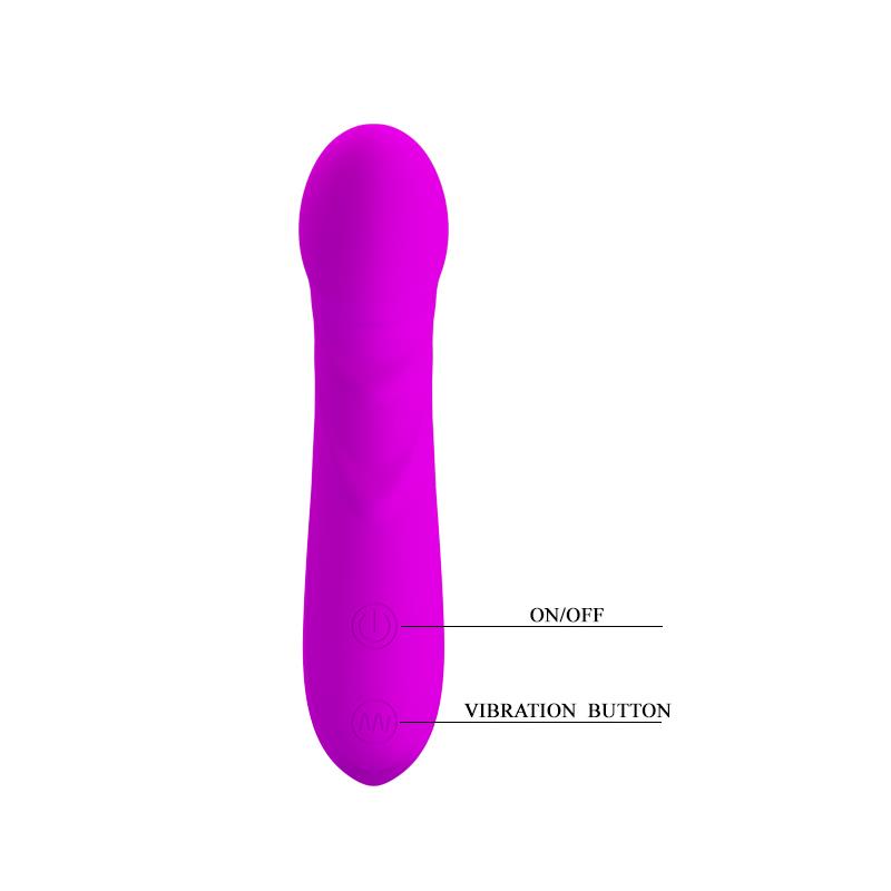 Pretty Love Massager Controls Pretty Love Mini Massager Reuben Purple controls