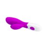 Pretty Love Vibe Newman Purple control panel