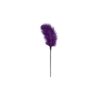 PURPLE FEATHER TICKLER