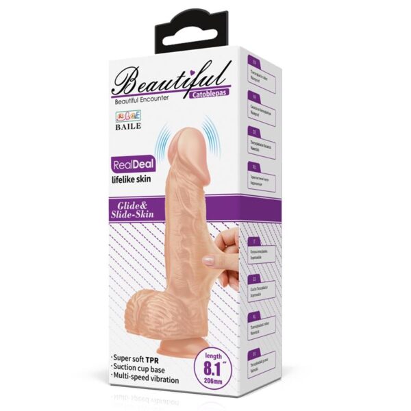REALISTIC VIBRATOR 81 POWER AND CONTROL
