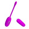 SHOCK FUN VIBRATING EGG WITH ELECTRO SHOCK AND REMOTE CONTROL