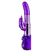 Vibe and Rotate Dolphin Follies 24 cm