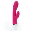 VIBE DREAMER USB ROSE RED