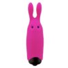 VIBRATING BULLET LASTIC POCKET VIBE SILICONE 85 X 23 CM