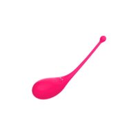 Vibrating Egg with APP Palpitation USB