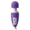 WANACHI MICRO MASSAGER PURPLE